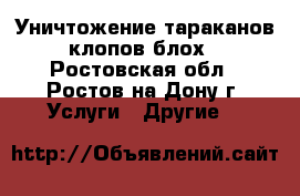 Уничтожение тараканов клопов блох - Ростовская обл., Ростов-на-Дону г. Услуги » Другие   